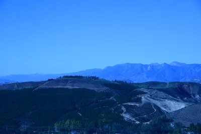 DSC_1149 (Large).JPG